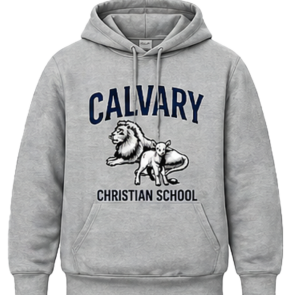 Sprit Hoodie Gray