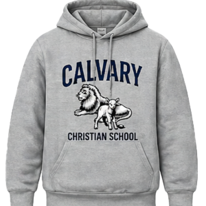 sprit-hoodie-gray